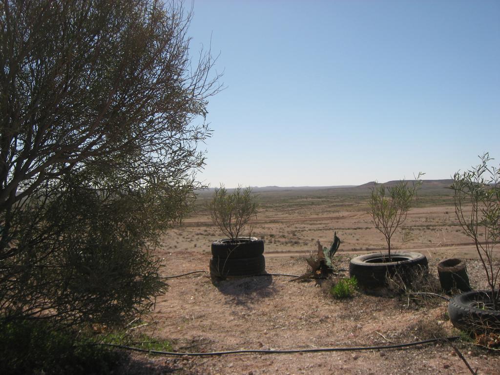 Venushill B+B Coober Pedy Exteriér fotografie